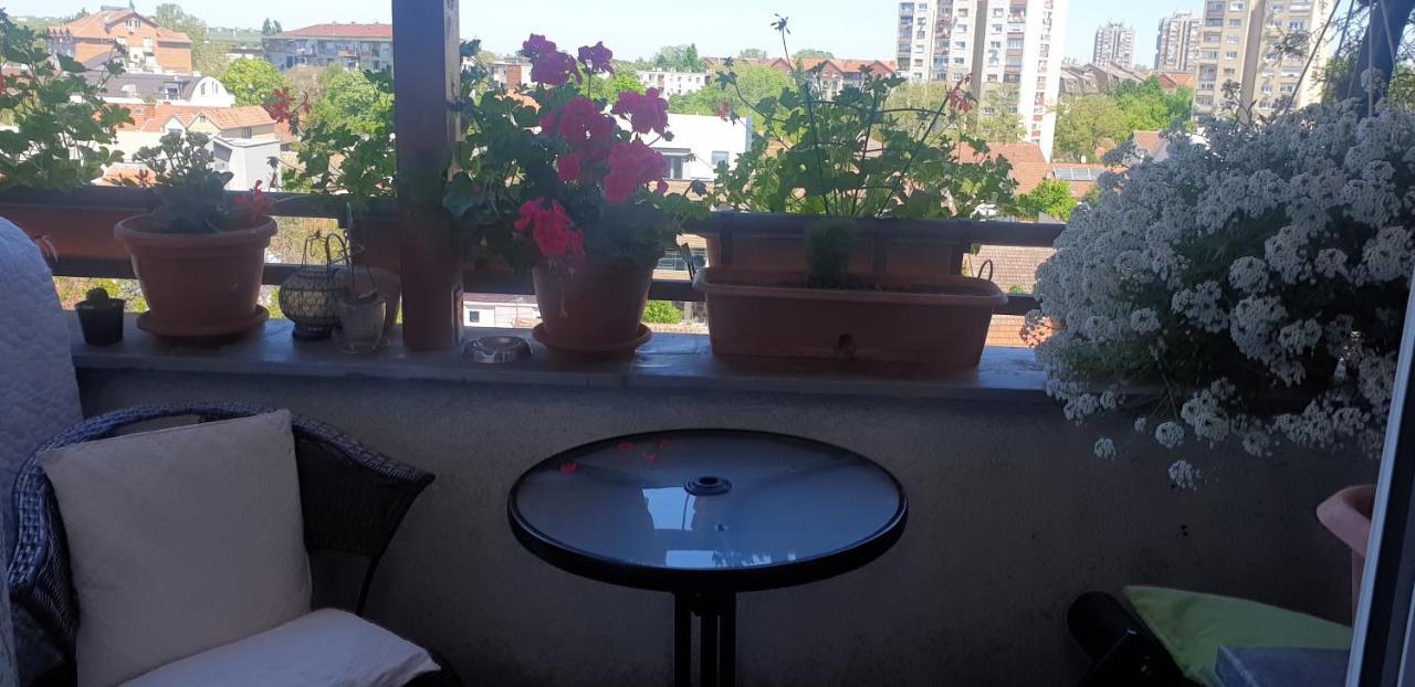 Apartmani Emerald Dream Novi Sad Buitenkant foto
