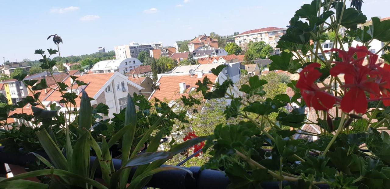 Apartmani Emerald Dream Novi Sad Buitenkant foto