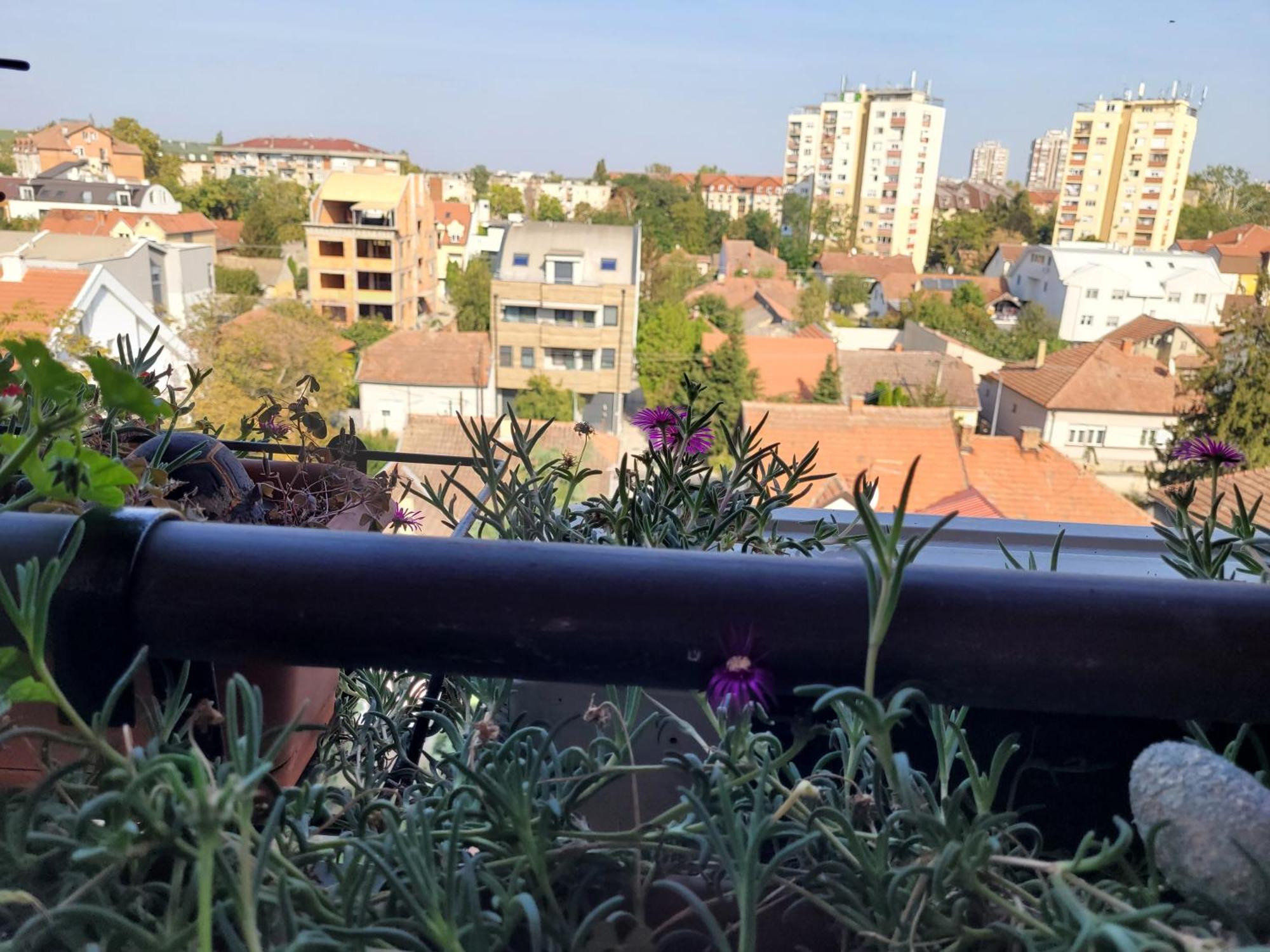 Apartmani Emerald Dream Novi Sad Buitenkant foto