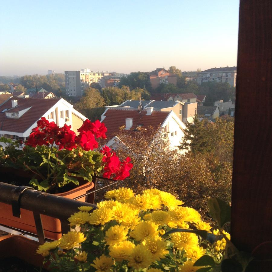 Apartmani Emerald Dream Novi Sad Buitenkant foto